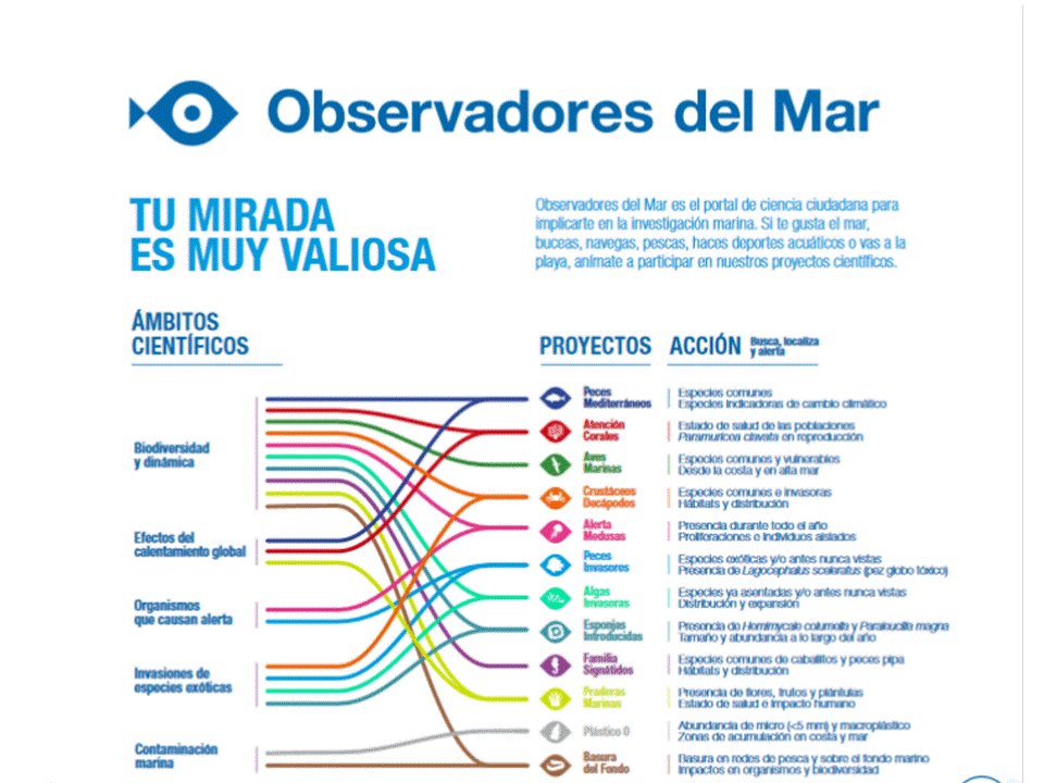 obsdelmar's tweet photo. ¿Aún no conoces retos y funcionamiento de nuestra plataforma? Descárgate el póster aquí https://t.co/yJ9gNlm3vo https://t.co/IFE2CiXwXj