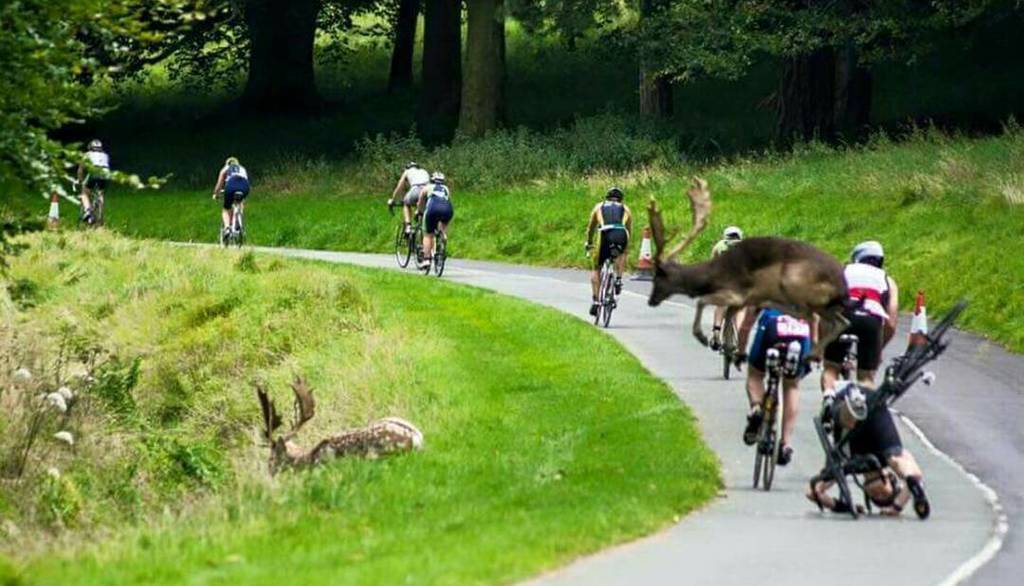 when triathlon goes wrong......hopefully everyone was OK