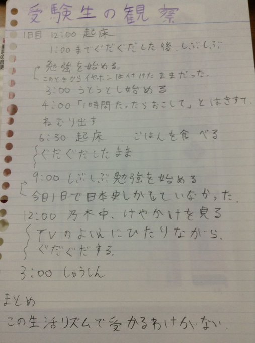 中学生の弟の自由研究のテーマが 受験生の観察 まとめが辛辣過ぎる