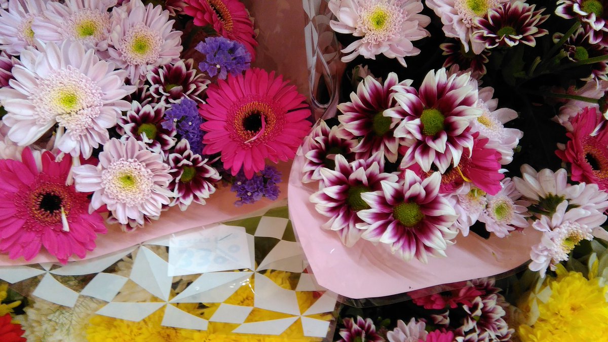 yakta_naz's tweet image. 