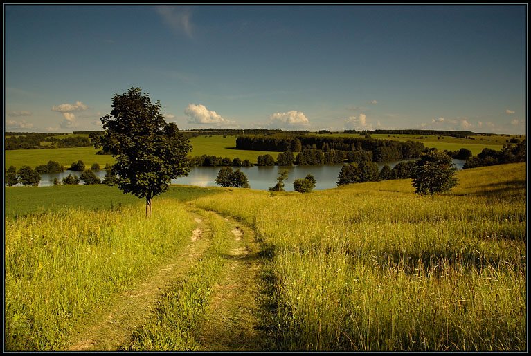 Красивая и целебная природа Мордовии
#мордовия
midvolga.ru