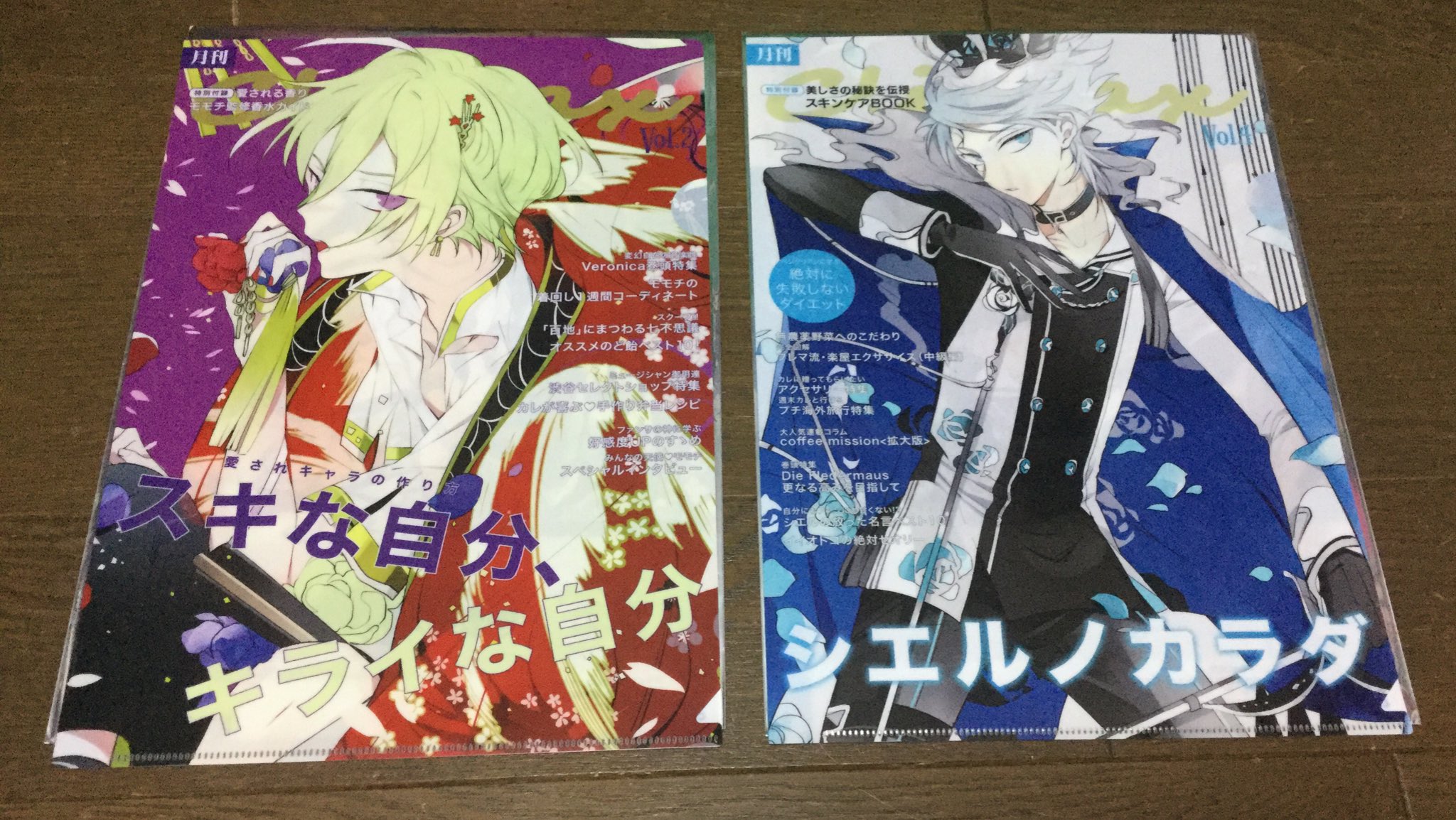 新品 ディアヴォーカリスト 月刊CLIMAXクリアファイル シエル 新品 ディアヴォーカリスト 月刊CLIMAXクリアファイル シエル