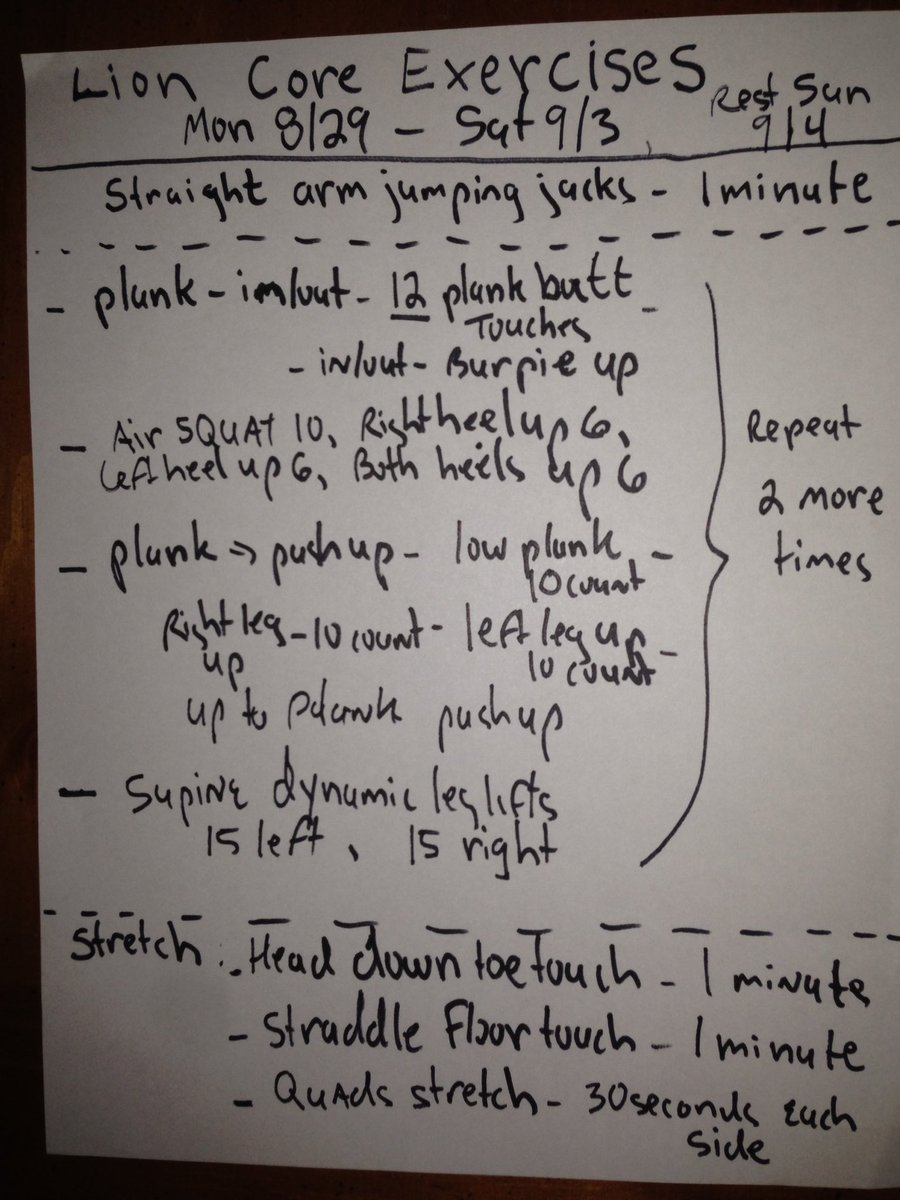 dugLiontrainer's tweet image. #strongtothecore