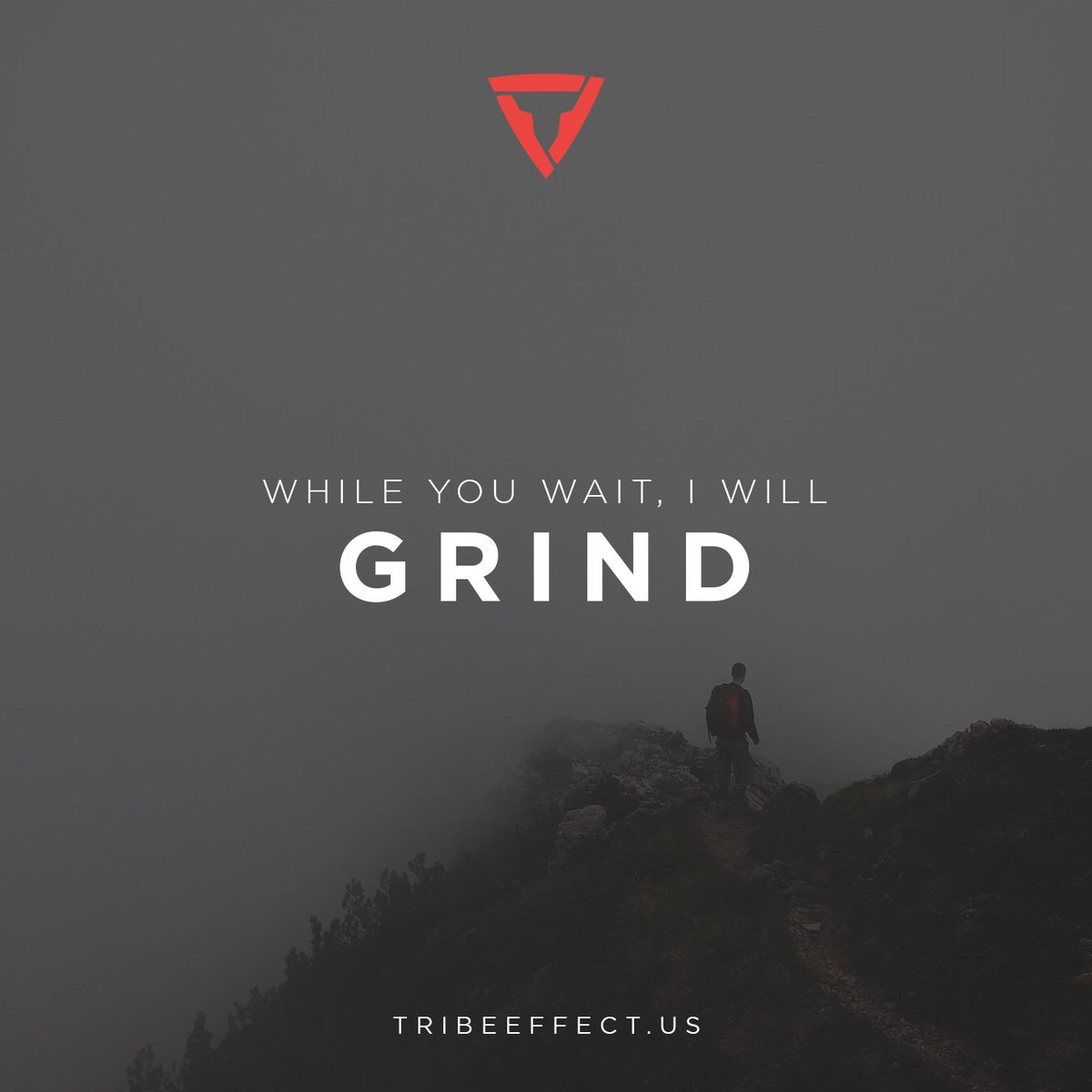 tribeeffect's tweet photo. While you wait, I will grind. #tribeeffect #grind #mindset https://t.co/FABKEDtJ7W