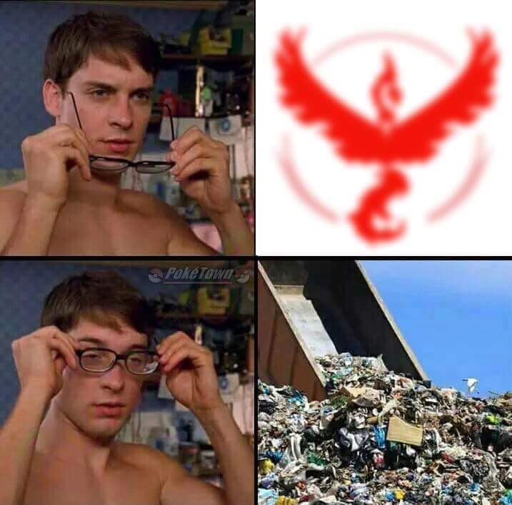 MS_teaminstinct's tweet image. #TeamInstinct #trustyourinstincts #teamvalor #sucks