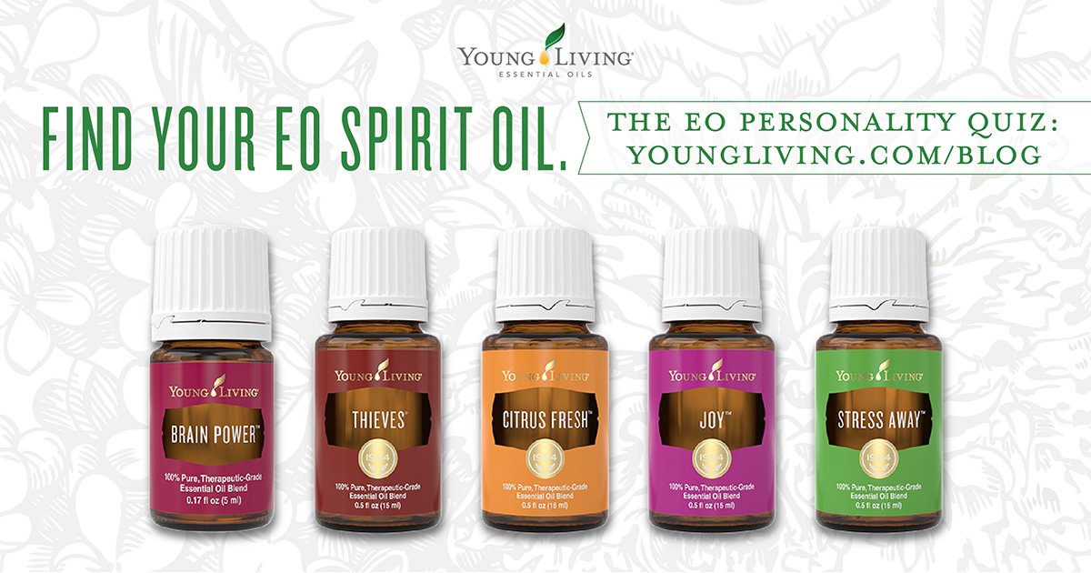 Spicy. Sweet. Relaxed. Excited. Do your favorite #YLeo's match your personality? goo.gl/41MbxP