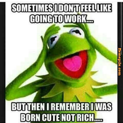 TheRealWrapStar's tweet photo. I gotta go to #werkwerkwerkwerkwerk . #mondaymotivation #SlayAllDay #WorkingClassStiff https://t.co/V95Hwmkb6A