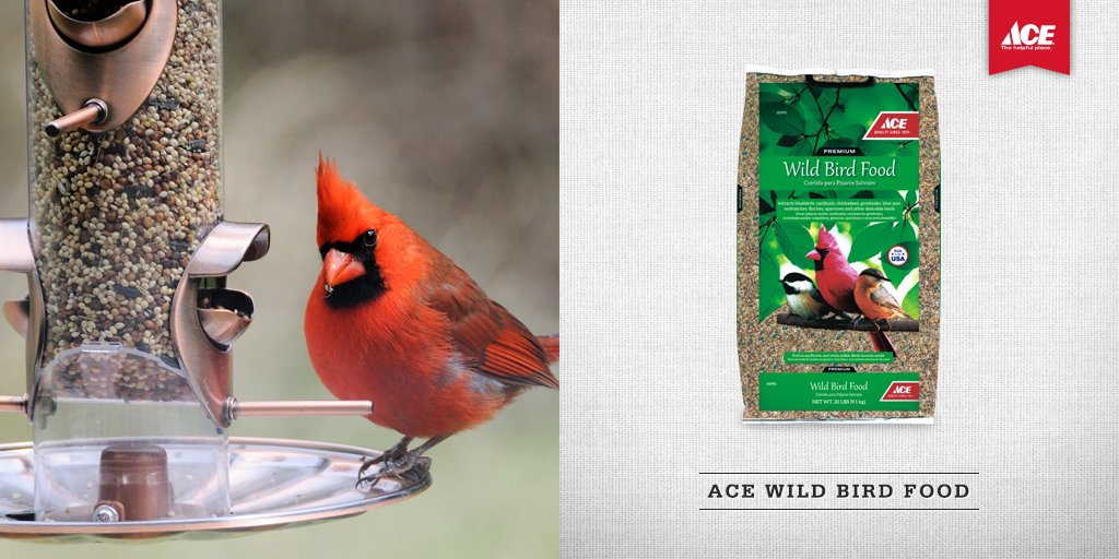 Ace Hardware On Twitter Make Sure To Keep Your Feeders Filled