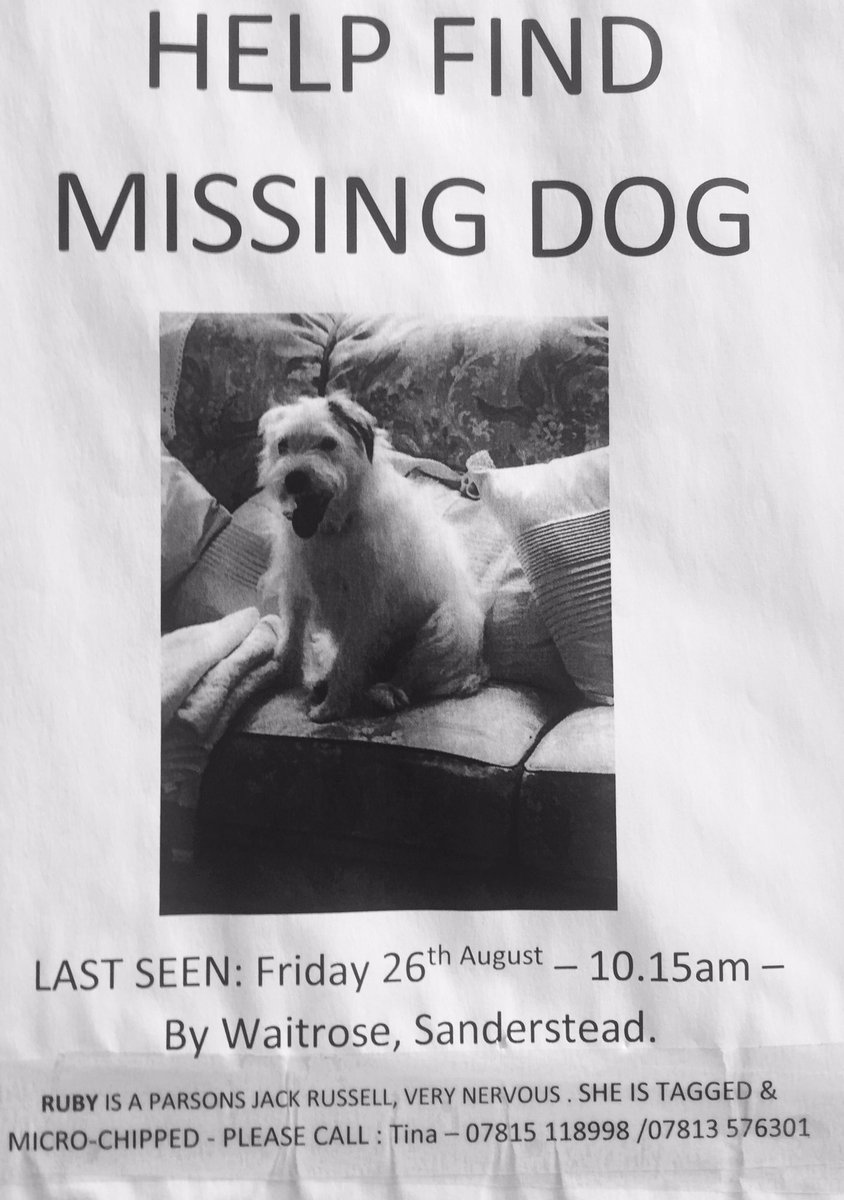 Help find #lostdog Ruby last seen #Sanderstead #Purley #Selsdon #Kingswood #Croydon if seen call 07815 118998