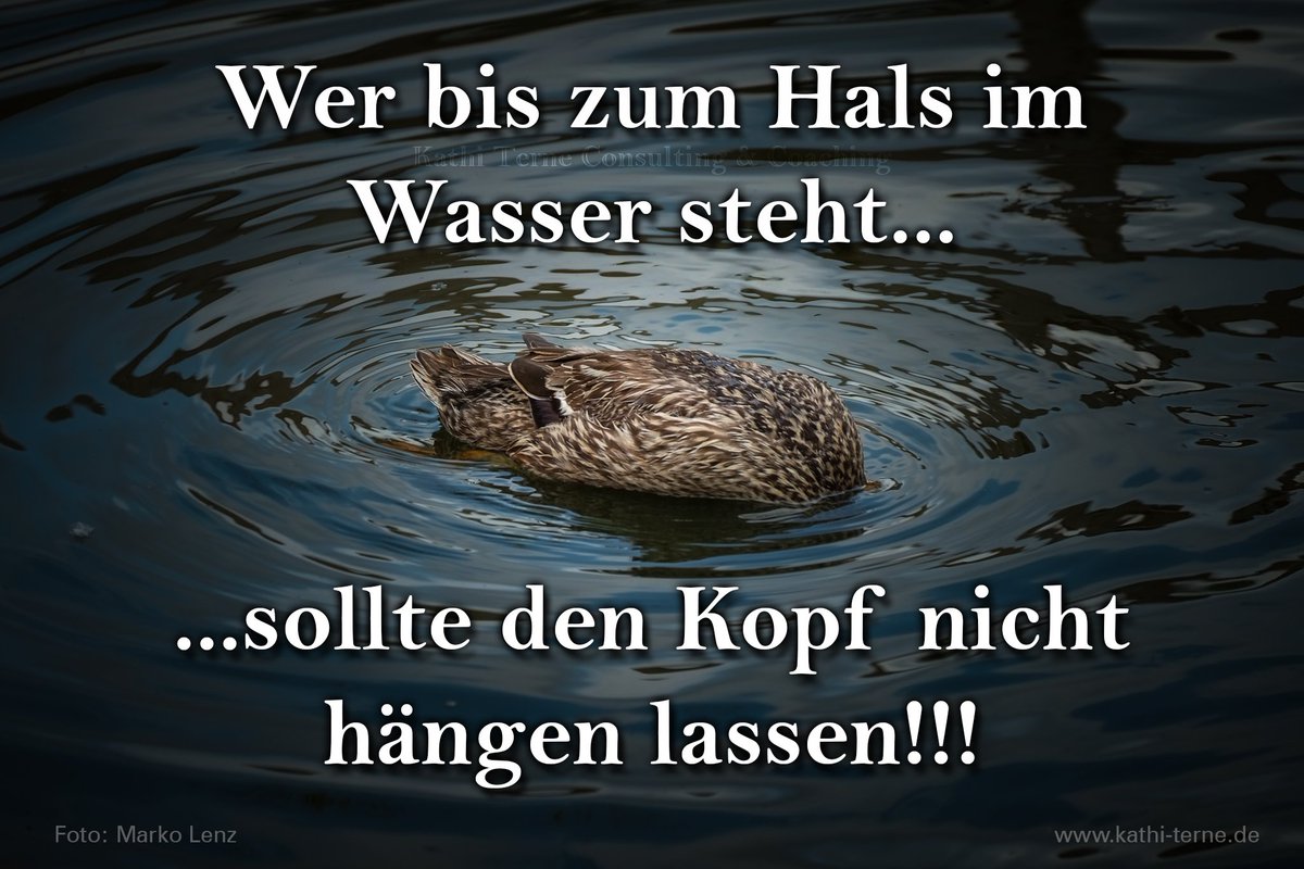 #motivation des Tages "Kopf nicht hängen lassen"
#coaching #kreativität #business #Burnout #karriere
#job