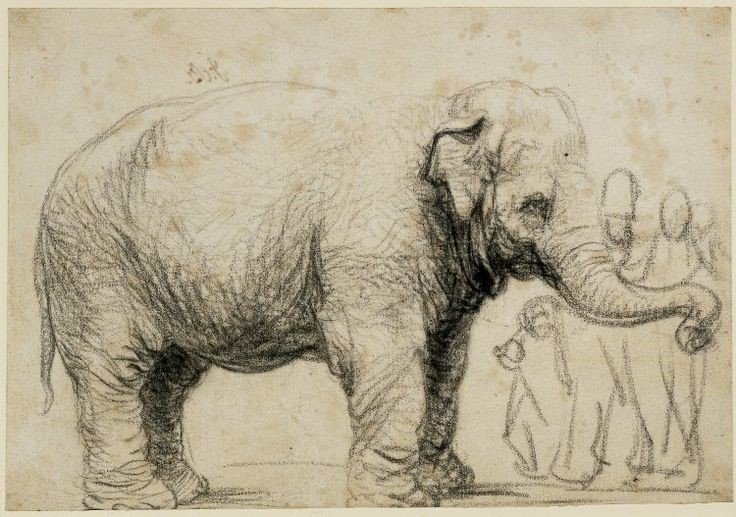 Drawings by Michelangelo, Rembrandt and Picasso are coming to <a href="/PooleMuseum/">Poole Museum</a> this weekend bit.ly/2bQPcRL