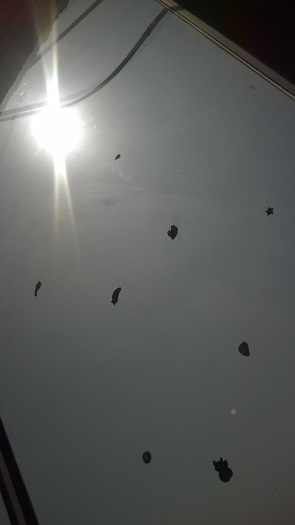 Gians10's tweet photo. https://t.co/ECzT4mz6G9
