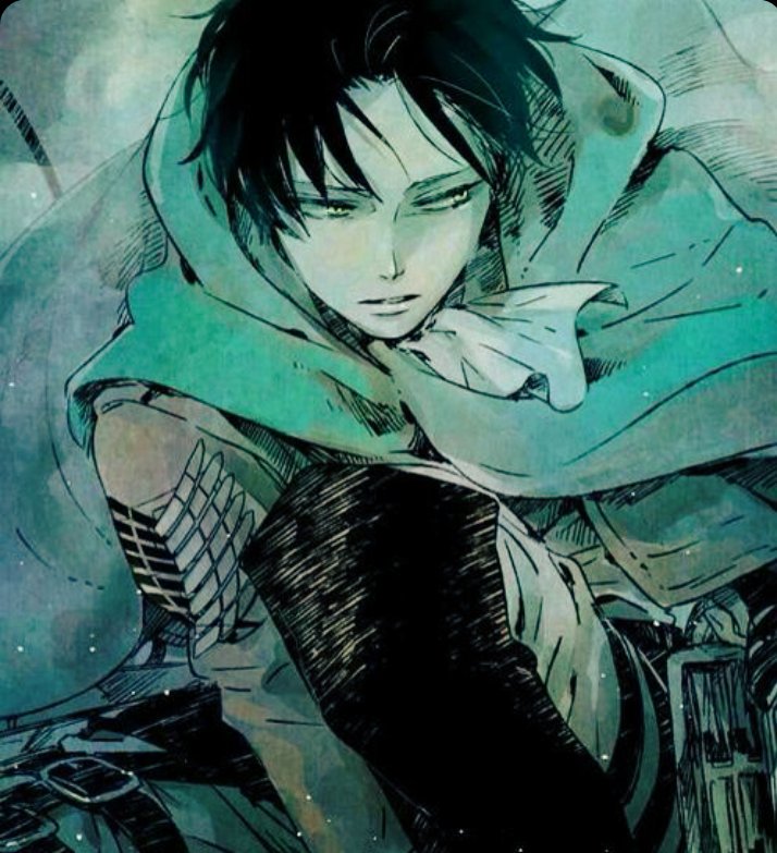 ||Levi Ackerman||

-New account
-Not new to fandom or rp
-Ships w/chem
-Detailed
-Rt?