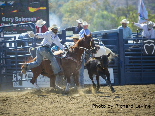 PanhandleWW tweet media