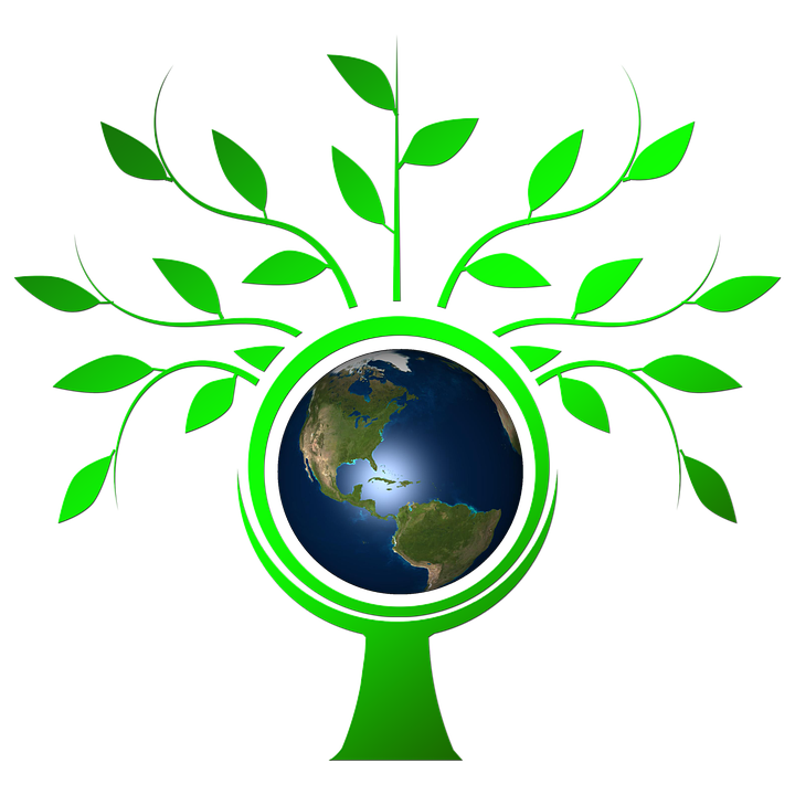 AVOB's tweet photo. Faites comme @douane_france et économisez plus 15786 kWh par an avec #avob https://t.co/0b3IuSJmU4