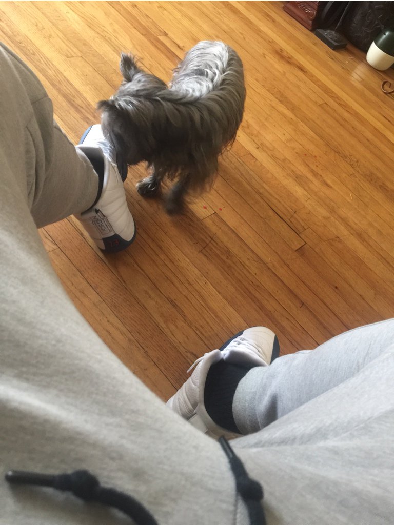 _HAYNES's tweet image. #TechForever