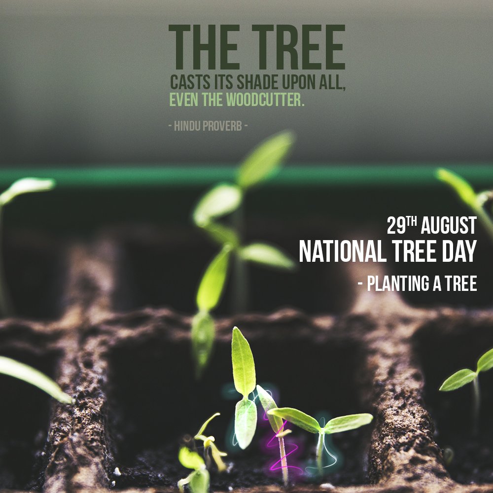 KA Estudios tweet media