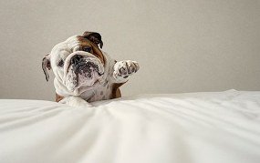 Nobody can do everything all by themselves. There's no shame reaching out and asking for help. #mentalhealth