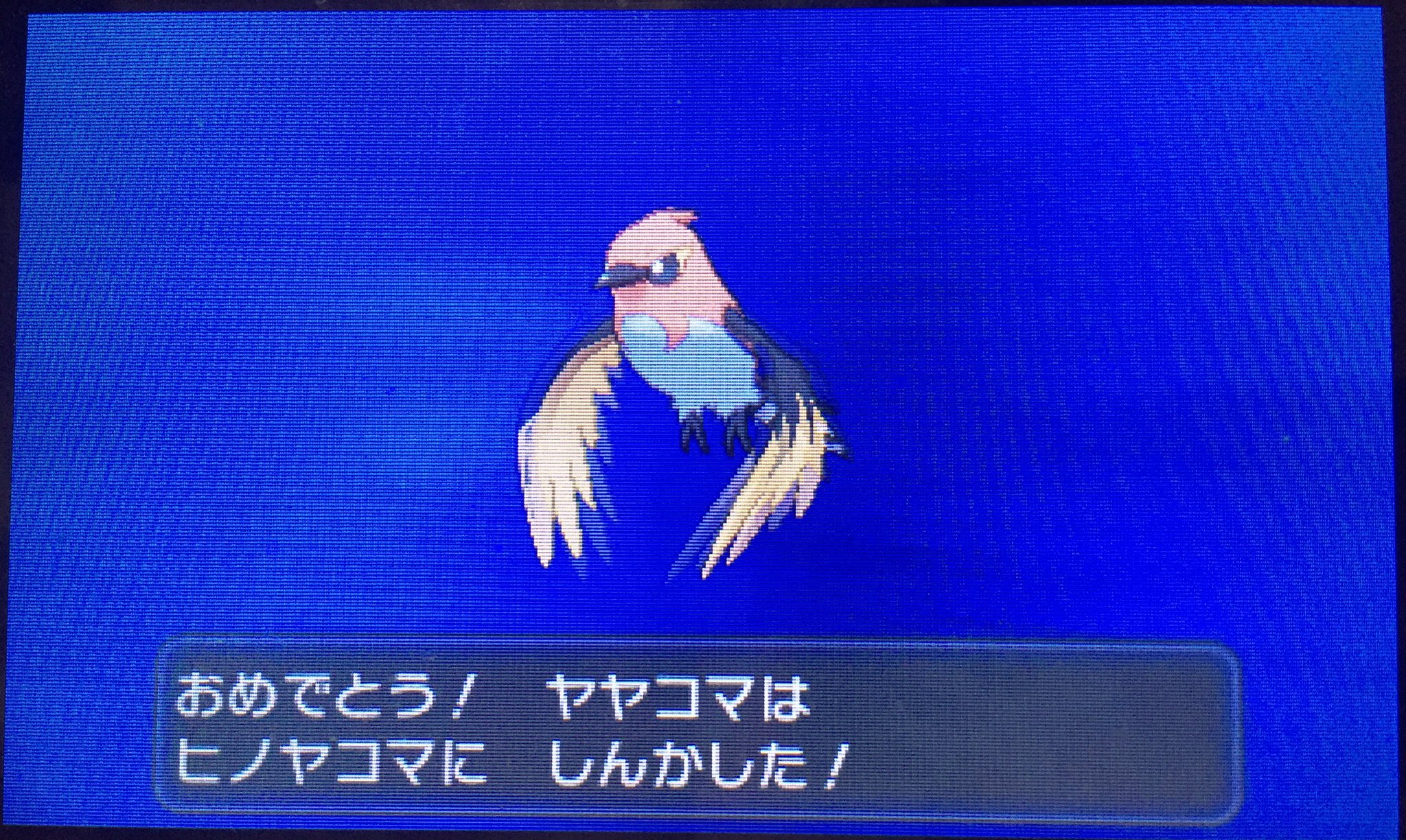 リフ M Sic Forever ポケモンxy サトシのパーティ で果たせなかったリーグ優勝目指す Part7 ゲコガシラにつづいてヤヤコマもヒノヤコマに進化した これで炎技が使えるようになった っ W C この2体とピカ様だからでんきタイプが今の所苦手w リフ M Sic Forever ポケモンxy サトシのパーティ で果たせなかったリーグ優勝目指す Part7 ゲコガシラにつづいてヤヤコマもヒノヤコマに進化した これで炎技が使えるようになった っ W C この2体とピカ様だからでんきタイプが今の所苦手w