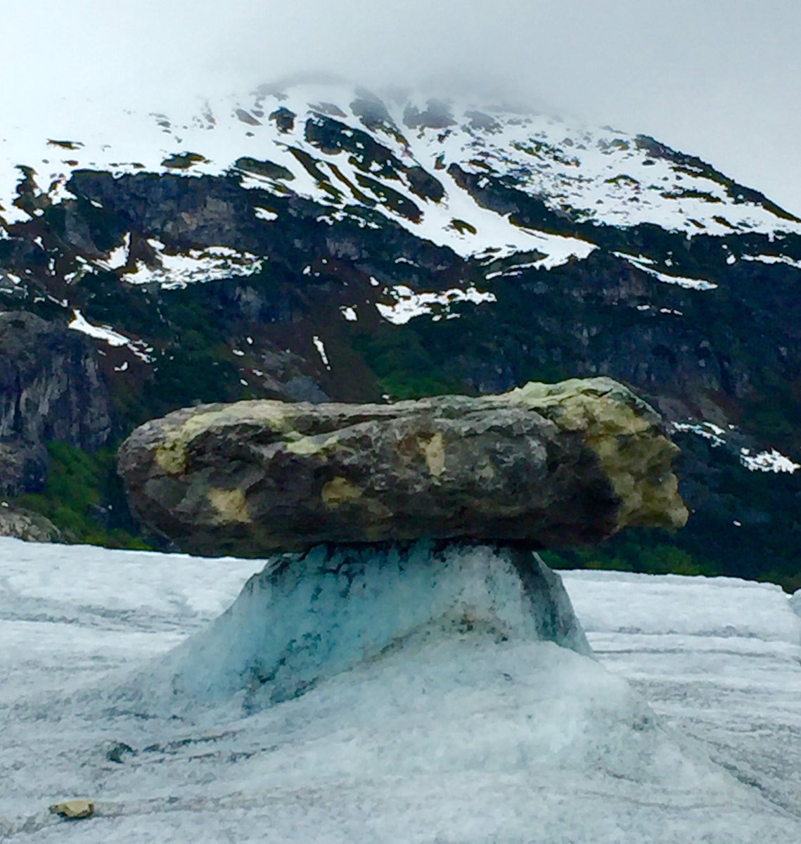 DOSZEE's tweet image. 