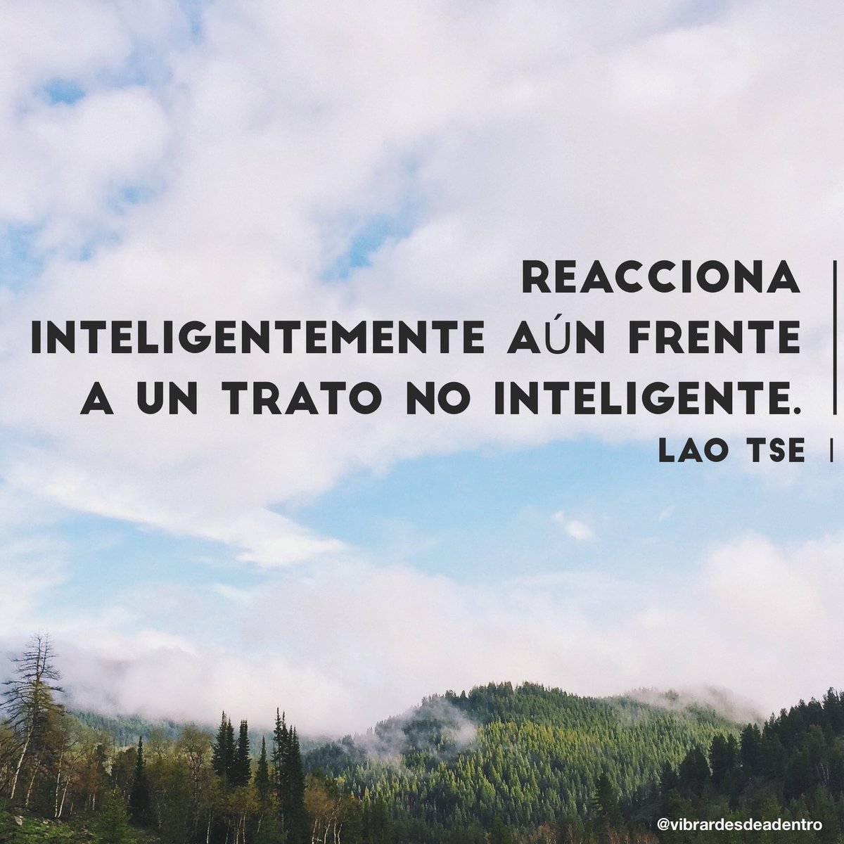 vdesdeadentro's tweet photo. Cabeza fría

Namasté  🙌🏻💛

#vibrardesdeadentro #frasedeldia https://t.co/xWKDs4GwhH