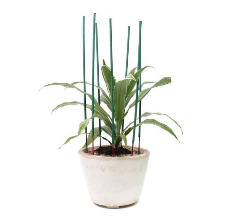 ArthaProject's tweet photo. Congrats to #Artha AIR #RyanOskin for being named an @Artforum Critic's Pick as part of The Plant Show @99cent_plus https://t.co/vzTxxA0iF7