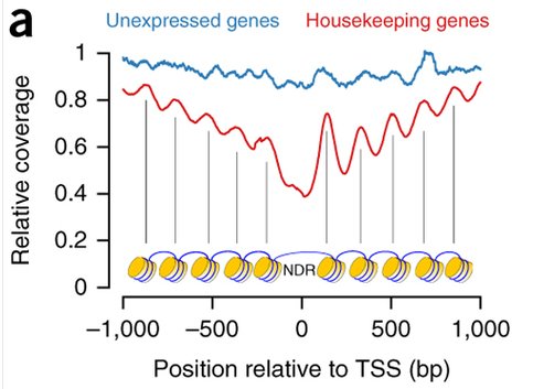 mmw_lmw's tweet photo. #DNASeq | #PlasmaDNA read depth indicates expression | MikeSpeicher @UniGraz @NatureGenet https://t.co/9KFcITl3Y6 https://t.co/0qQLsBxGs3