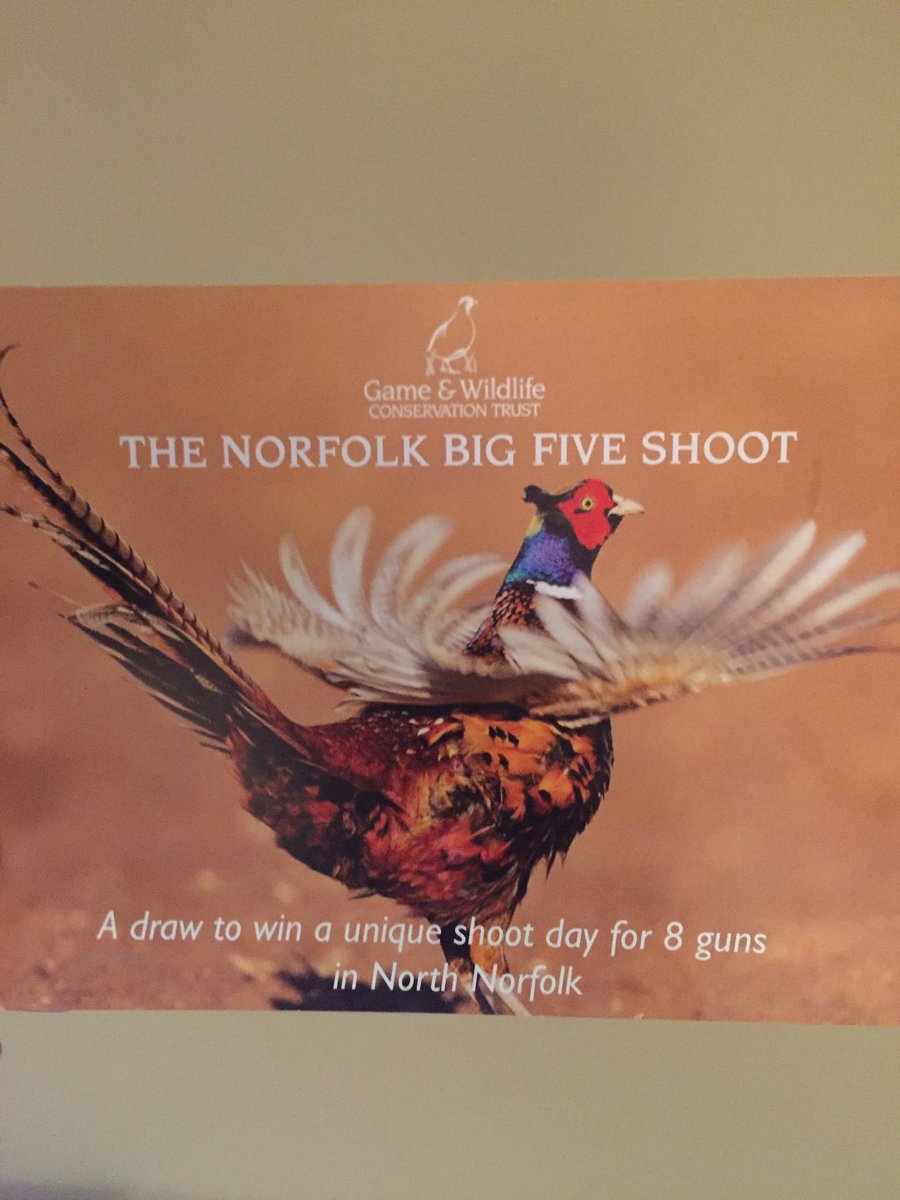 Our Big 5 Raffle is now under way for 5 drives on 5 outstanding Norfolk shoots with dinner cooked by Galton.
