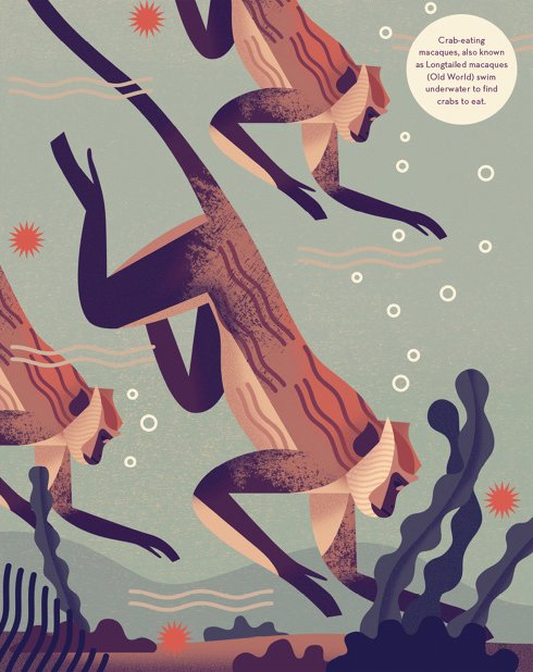 YElkassova's tweet photo. Caught @owendaveydraws charming monkeys @theaoi illustration awards just in time! #Wia2016 @SomersetHouse https://t.co/0bNWboBm5m