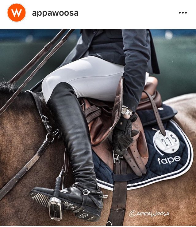 Ogilvy Equestrian tweet media