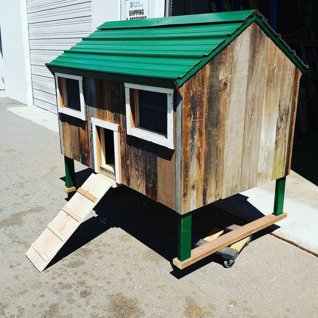 PaulRarePoultry's tweet photo. #coop #capecodcoop #coops https://t.co/WW8ssxAf23