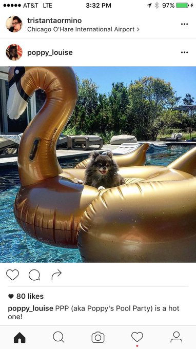 I aspire to live the charmed life of @bridgeteverett's dog Poppy Louise. https://t.co/StFY4VWcwT<a class="tags" target="_blank" title="On Twitter" href="/?out=eyJ0eXAiOiJKV1QiLCJhbGciOiJIUzUxMiJ9.eyJpYXQiOjE3MjQ4NzQ3MjUsImlzcyI6InR3cG9ybnN0YXJzLmNvbSIsIm5iZiI6MTcyNDg3NDcyNSwiZXhwIjoxNzU2NDEwNzI1LCJyZWRpcmVjdF91cmwiOiJodHRwczovL3R3aXR0ZXIuY29tL2JyaWRnZXRldmVyZXR0In0.UNhTPqan382nw1izo_P6y60vWKpDDC7WVad3ImtZFpk_DESbnbyjiEjr_9Aej3dETO_qoSxam3BQ7Ke5f0FcNw">@bridgeteverett</a><a href="/tag/imsl2015"class="tags"><span>#imsl2015</span></a>