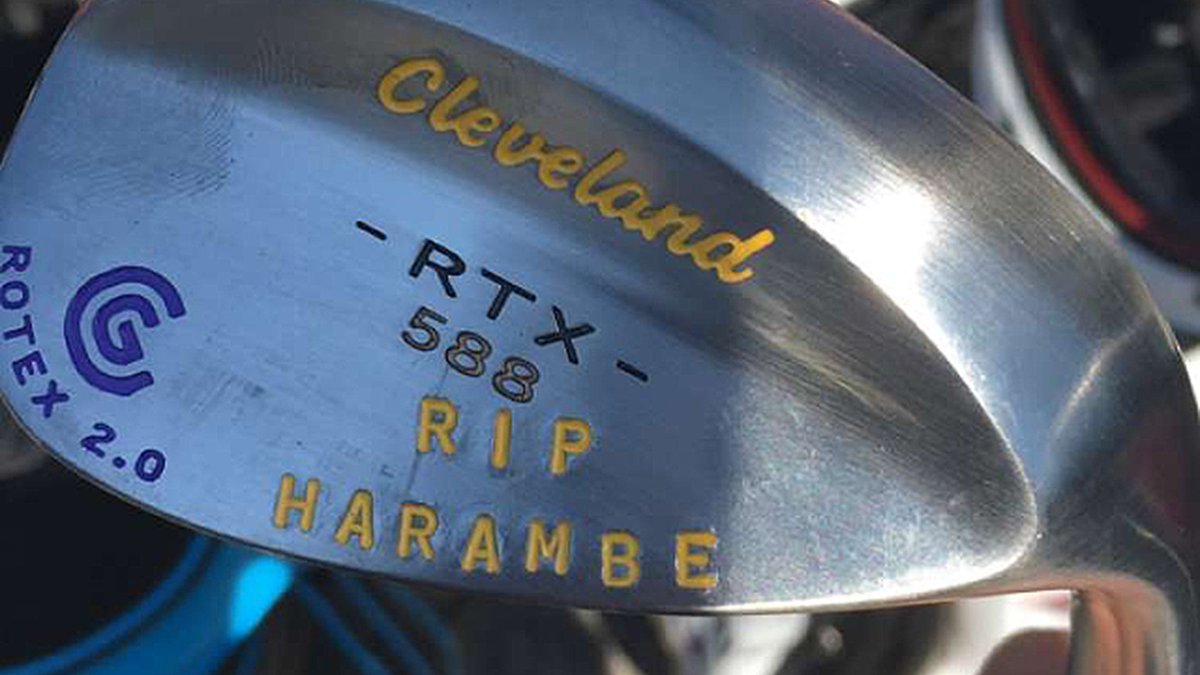 It's official. <a href="/SmylieKaufman10/">Smylie Kaufman</a> has brought the Harambe meme to the PGA Tour: watchgolf.ch/BMFPW7