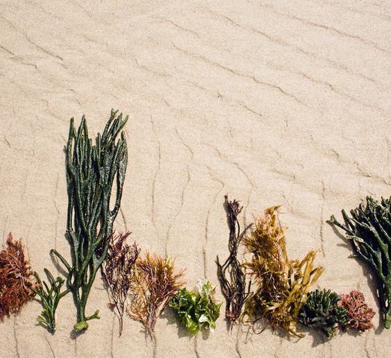 mindbodygreen tweet media