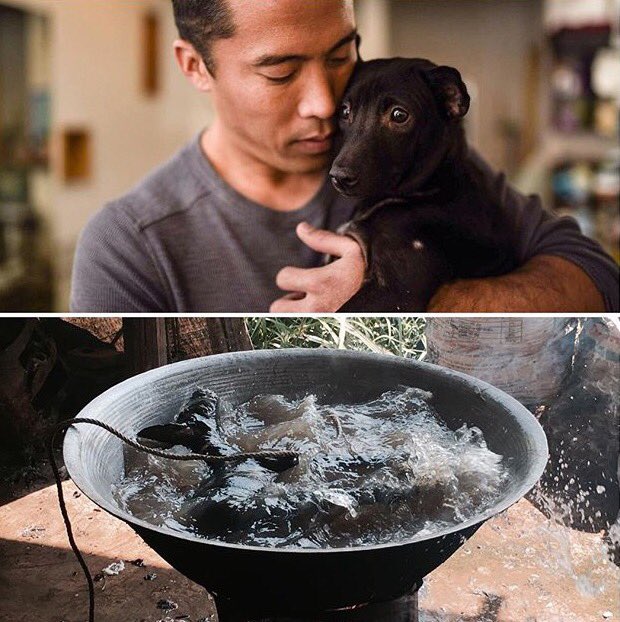 DogCrusader's tweet photo. #MarcChing they hung &amp; beat her then through her in pot of boiling water. I named her #Justice GIVE HER JUSTICE https://t.co/7vM6YdeYpn