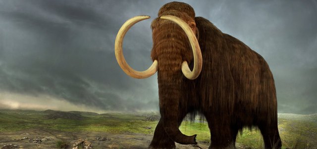 ucsb_nceas's tweet photo. Avoiding Eco-Zombies: Guidelines for Using #DeExtinction as a #ConservationTool https://t.co/2Zrlh0o37B https://t.co/IC8fTqKR9N