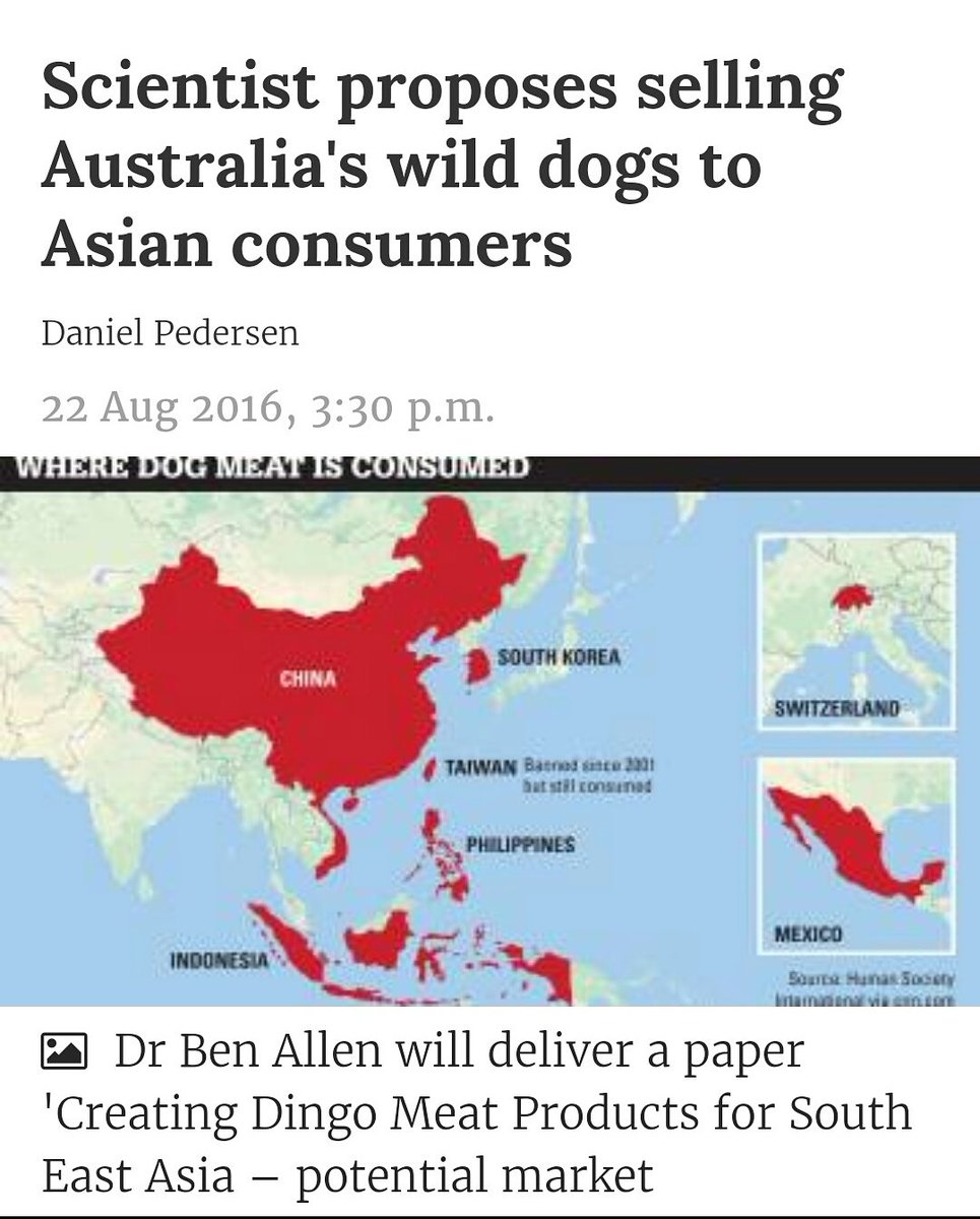 Cshells33Wells's tweet photo. .@mikebairdMP LOOK AT THIS!! CONFERENCE THIS WEEK!!
SENDING DINGOES TO SE ASIA!! 
.@BenAllenDingo .@Justice4animals https://t.co/Yd8gtf8r9w