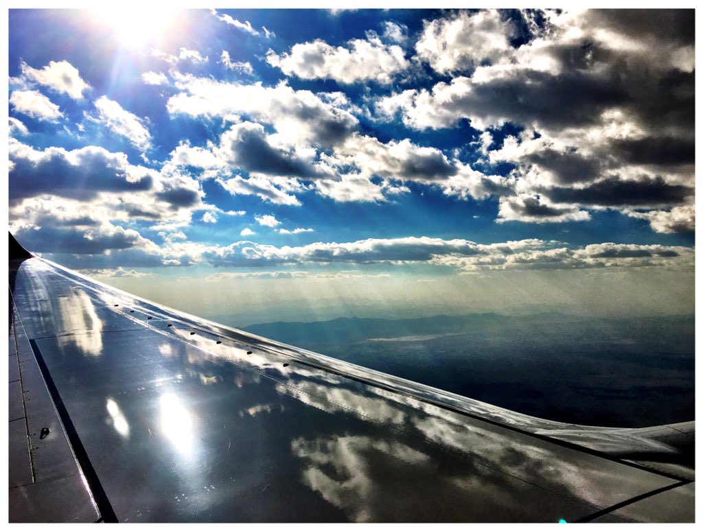 Fly-ku:
Sunlight shines through clouds
Reading and Leeds memories
My pillow grows near