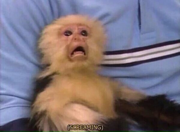 Yᴏᴜʀ Fᴀᴠᴏʀɪᴛᴇ Bᴀᴇ. (@ofanagapesis) on Twitter photo 