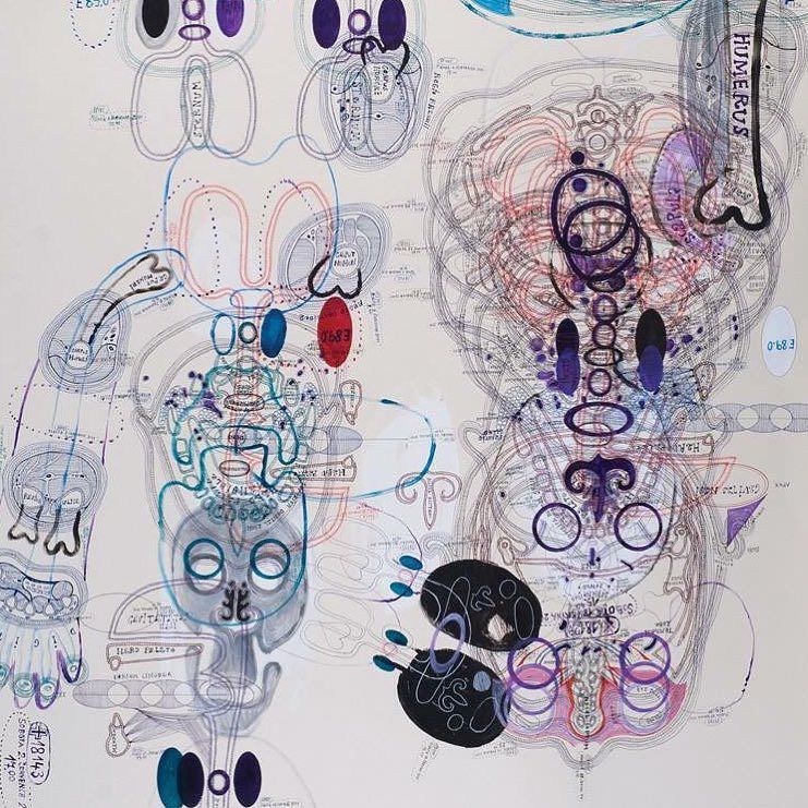 RawVisionMag's tweet image. By the age of five he was drawing morphological and anatomical details, and he loved disse… ift.tt/2c5PfIf