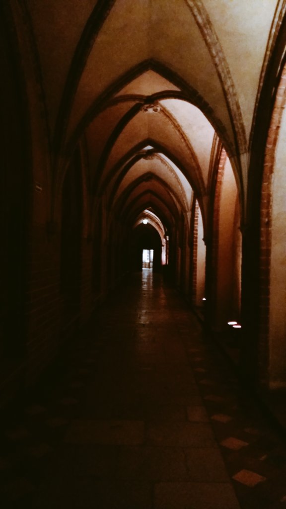 The Malbork Castle was so beautiful at night