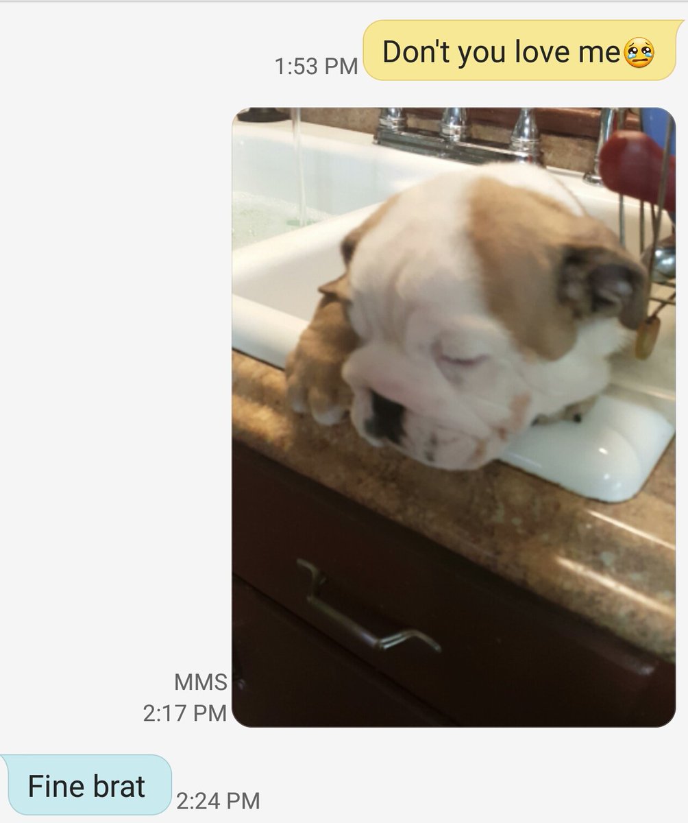 Begging bae for a puppy like...