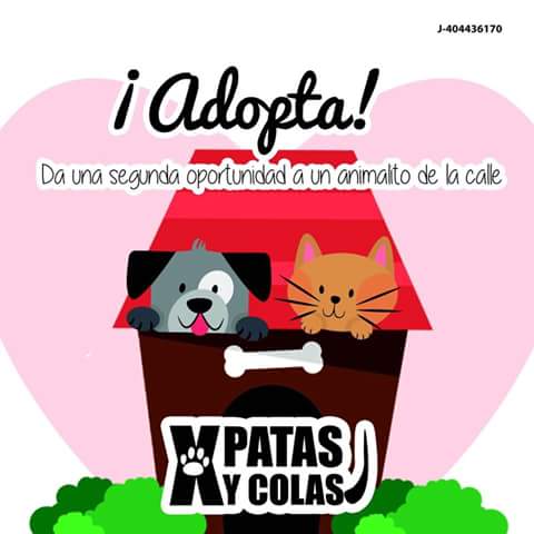 XPatasyColas tweet media