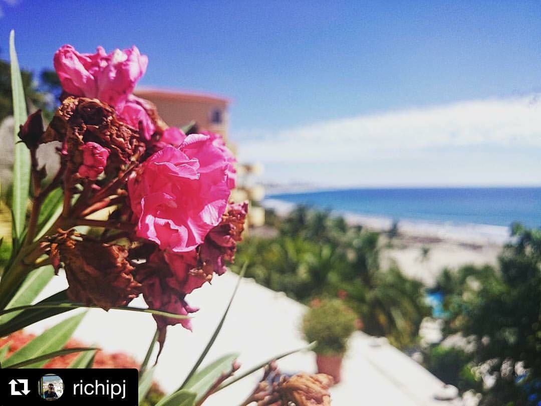 sukhaysal's tweet photo. Sunny friday ☀️ #weekendgetaway https://t.co/wEL7BS5JaA