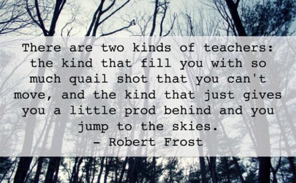 HollyBSharp2's tweet image. 