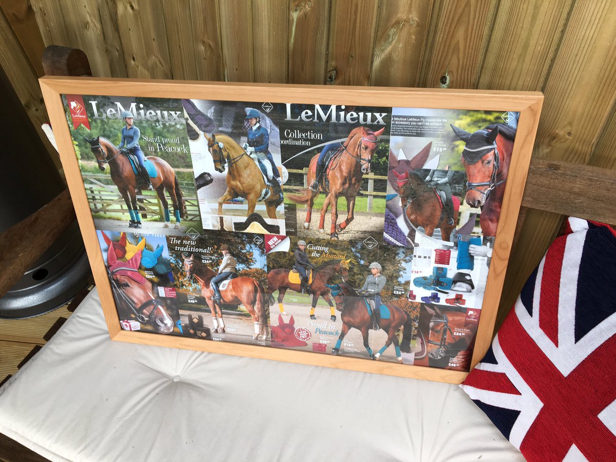 Lucy_Fallen's tweet photo. Mum made this amazing collage of all the boys in their @horsehealthcouk pictures #TeamLeMieux #LoveLeMieux https://t.co/sBIpHhKbHt