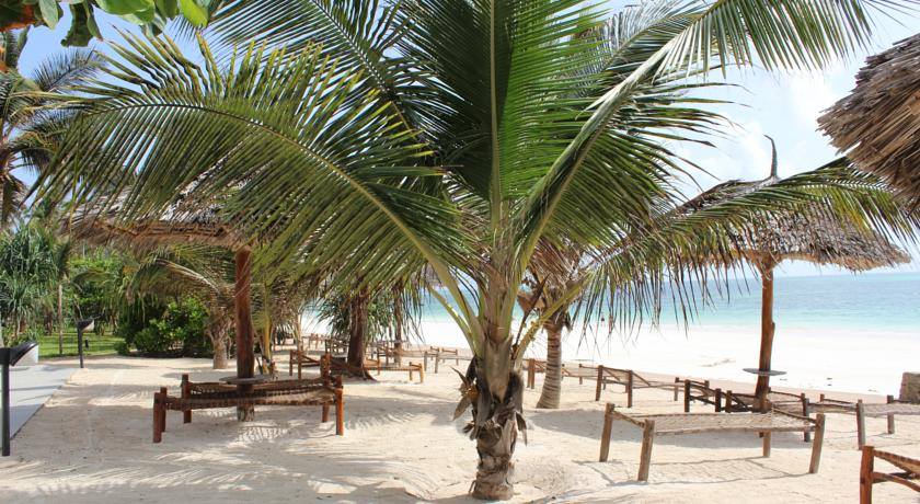 DoAfrika tweet media