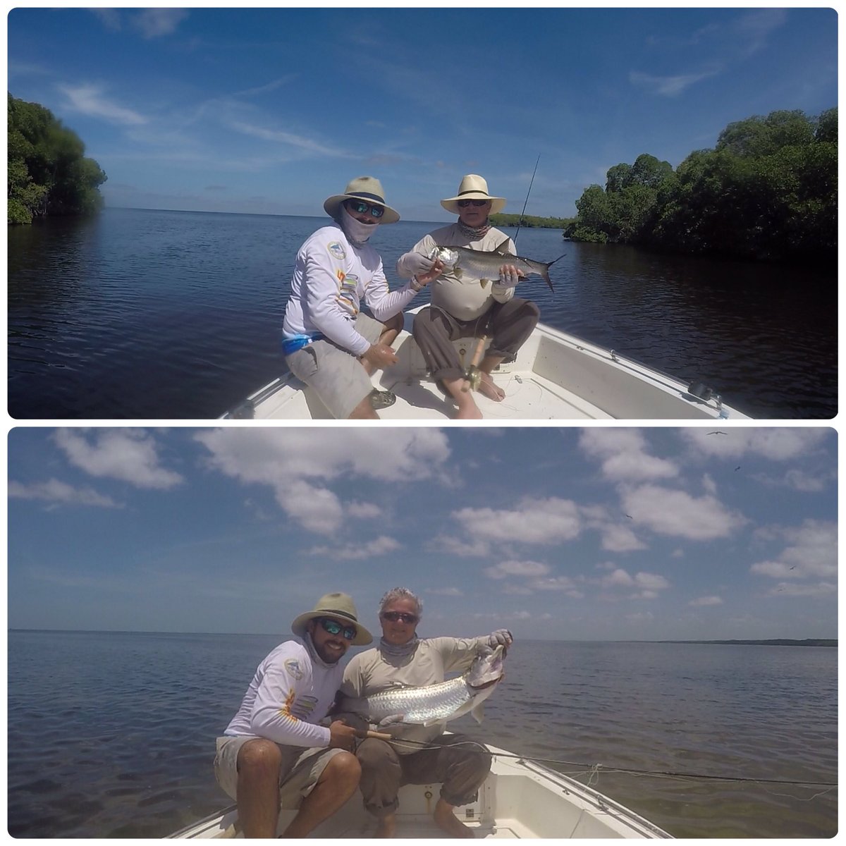 Pesca_Campeche's tweet image. Excelente día de pesca con nuestro amigo Ignacio Andrade, buenos Sabalos! #flyfishing #pescadeportivacampeche #Mx