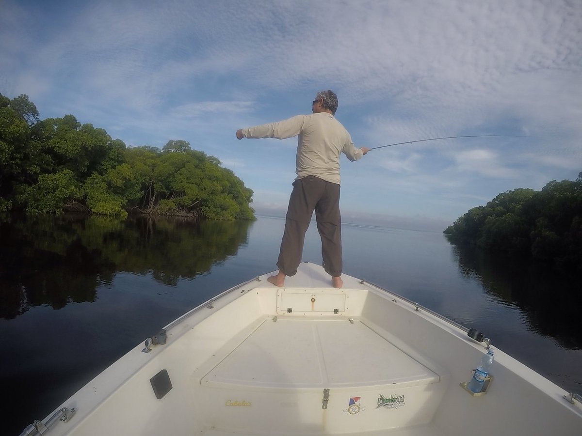 Pesca_Campeche's tweet image. Excelente día de pesca con nuestro amigo Ignacio Andrade, buenos Sabalos! #flyfishing #pescadeportivacampeche #Mx