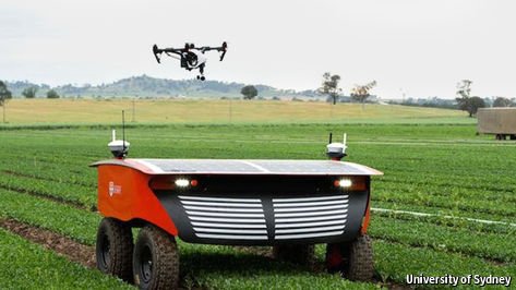 TheEconomist's tweet photo. Unmanned drones can fly over crops to spot which ones need more fertiliser so the sprayed dose can be adjusted https://t.co/yP8BGMSMMi